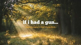 Noel Gallagher's High Flying Birds - If I Had a Gun... (Lirik Terjemahan Indonesia)