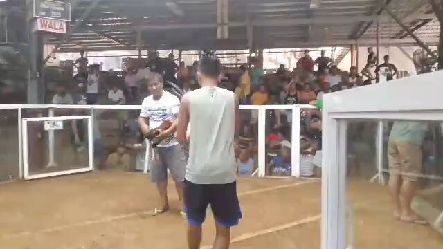 WALA win 2x winner na mariveles cock arena