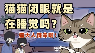 教你识破你家猫猫的假睡骗局！