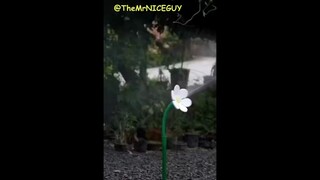 当刚奖励完自己然后上厕所