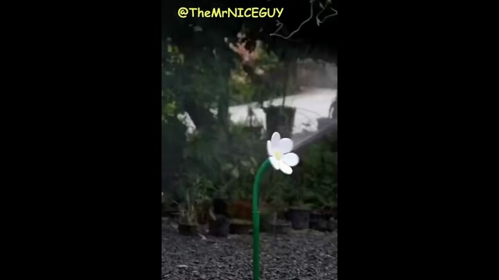 当刚奖励完自己然后上厕所