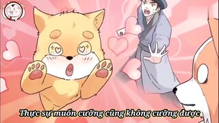 Tập 2- mở mắt ra vẫn là chó