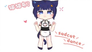 sad cat dance，但是布姐✨