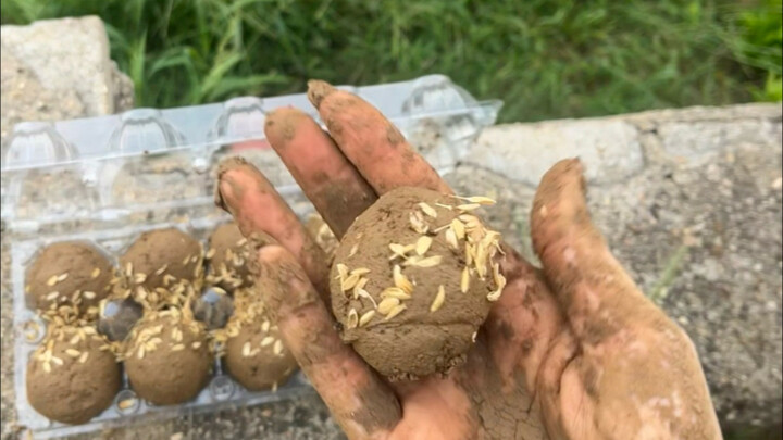 Cuối cùng vẫn chẳng giống thuở thiếu niên rong chơi