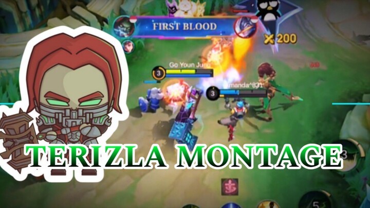 TERIZLA MONTAGE