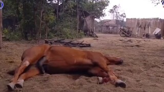บางระจัน จบบริบูรณ์