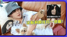 【檀健次】相柳二创视频翻牌!让我一整个震撼到的reaction!