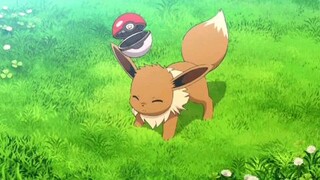 Pokemon Pertama Lisa Evee