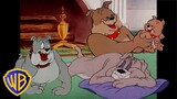 Tom und Jerry auf Deutsch 🇩🇪 | Das Beste von Spike 🐶 |@WBKidsDeutschland​