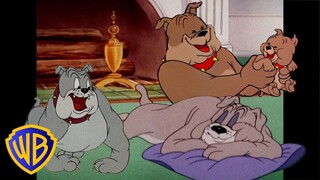 Tom & Jerry | Best of Spike 🐶 | Classic Cartoon Compilation | @wbkids​