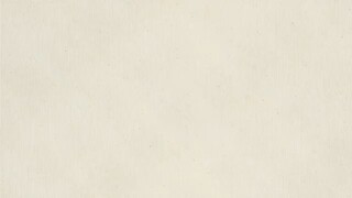 incognito 11 sub indo