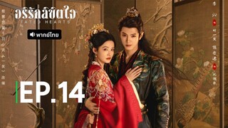 EP.14