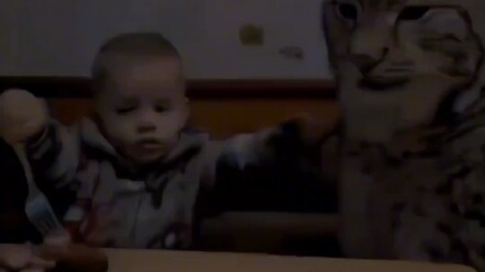 Một netizen nước ngoài đã cứu một chú mèo hoang trong chuyến dã ngoại, sau khi nuôi lớn mới phát hiệ