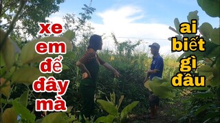 Sáu Sành Đi Hái Rau Bị Mất Chiếc Xe Và Cái Kết