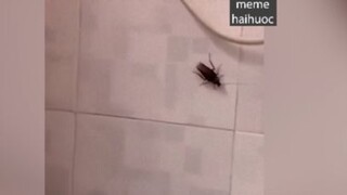 Để anh nói cho nghe nè