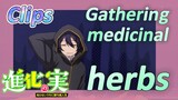 [The Fruit of Evolution]Clips |Gathering medicinal herbs