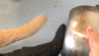 邻居以为我在敲锣。其实我在被狗打、、、