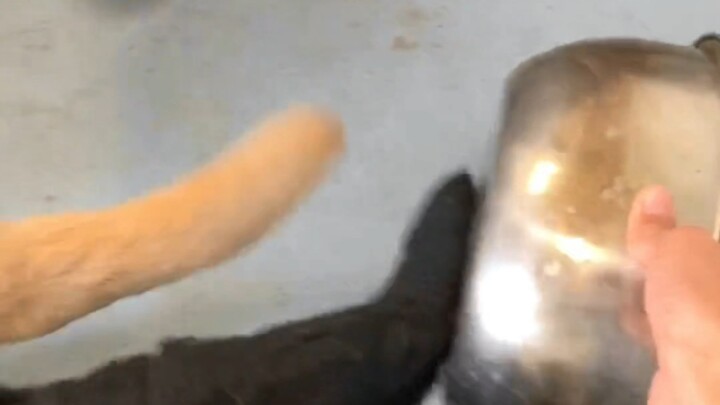 Hàng xóm cứ tưởng tôi đang đánh trống. Thật ra là tôi đang bị chó cắn...