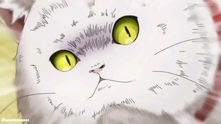 Ganggu kucing (Anime Mono)