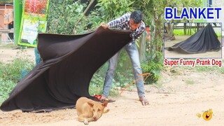 Wow !! Best Prank Super Huge Blanket Prank on Dog Very Funny Prank Must Watch