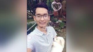 Cả nhà yêu Bo ko ạ? cunyeucuadua yeucho yeuchomeo cún cúncon chó chómèo chócon chókhôn yeuchomeo chócute pet dog dogsoftiktok doggo