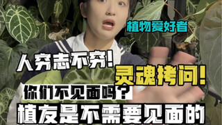 植物爱好者灵魂拷问｜植友需要见面吗？我们是一群关系很好的网友…很单纯…我都不知道人家叫啥…