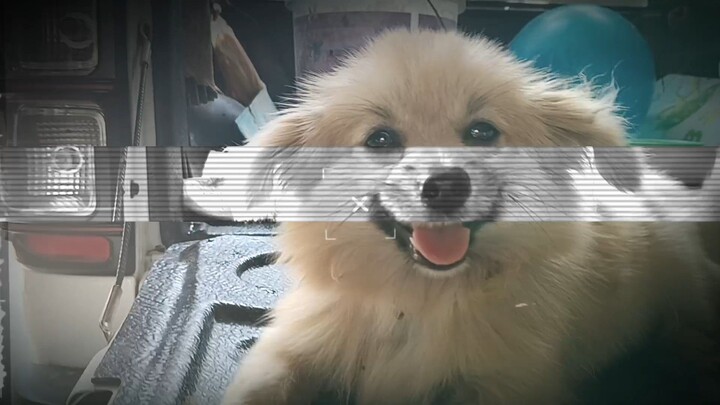ลีโอ