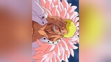 tsukisq onepiece zoro  doflamingo shanks luffy anime animeedit trending trend tsukisq