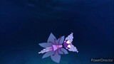mewberty star stop swimming and air out and glup and sinking down underwater night video