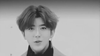 The large-scale documentary scam "The Legend of Little King Kong" is now on air.