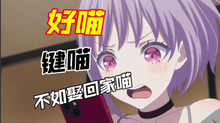 【专 业 分 析】怎么把喵梦娶回家？是最适合娶回家的喵！好喵好喵！