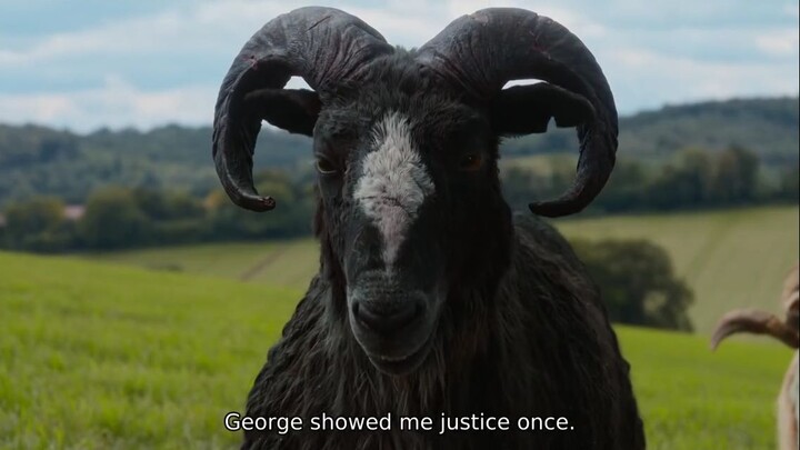 connection_quality sheep detective
