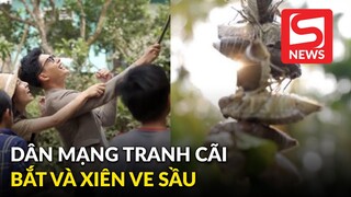 Dân mạng tranh cãi vì đoạn phóng sự bắt và xiên ve sầu: Chỉ là trò chơi hay hành hạ động vật?