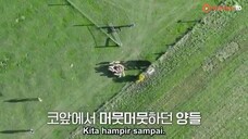 Bros on Foot E05 (indosub)