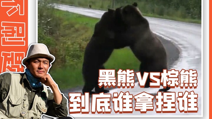 ทุกคนก็เป็นหมีเหมือนกัน ทำไมต้องจริงจังด้วยล่ะ?