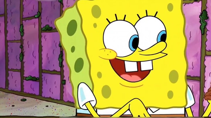 SpongeBob SquarePants Commentary: Wall Neighbors