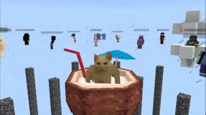 ماينكرافت: الضحك مخصص لـ