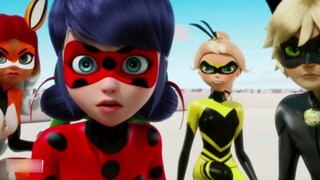 Ladybug Reddy MAD】—Kami adalah keluarga—Sekolah dengan kekuatan super (master lady cat)