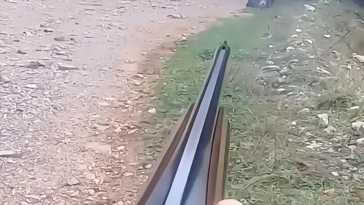 الخنزير يلتقي بالحب عند الزاوية