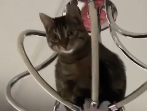 แม่มาเล่นด้วยกันเถอะ～