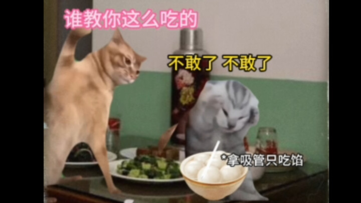 虽然她骗了我，但我还是爱她
