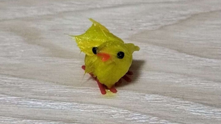 Guess which little chick is secretly splashing around in the water❓