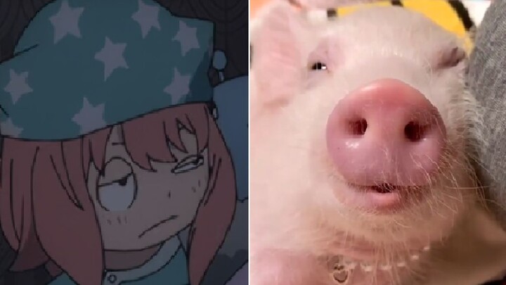 Anya turns into a pig! Are you sure it's not a body swap?