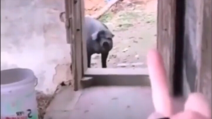 Kamu tunggu sebentar, aku pergi panggil kakak laki-lakiku.