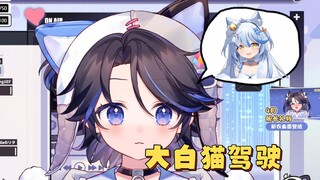 大白猫驾驶员,超绝猫感【玻莎】