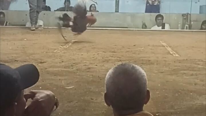 Basud Cockpit Arena 02/10/24 NVE Backyard