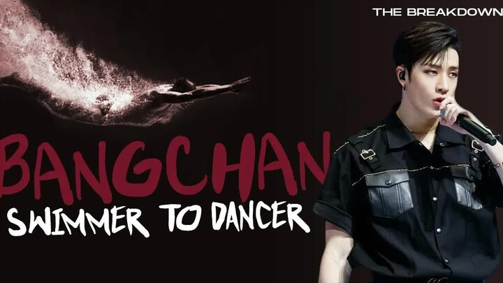 [Chinese-English] [Fang Can] "From Swimmer to Dancer" – A Professional Dancer’s Detailed Analysis of