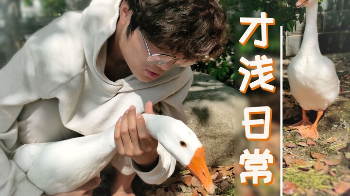 【才浅日常】UP主的退休生活，为移民火星做准备