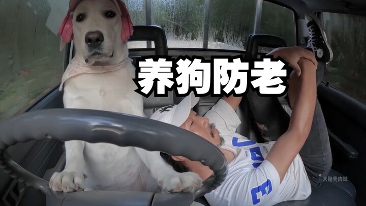 Kalau kamu tidak punya anak, nanti siapa yang akan merawatmu saat tua! Saya: Anjing saya