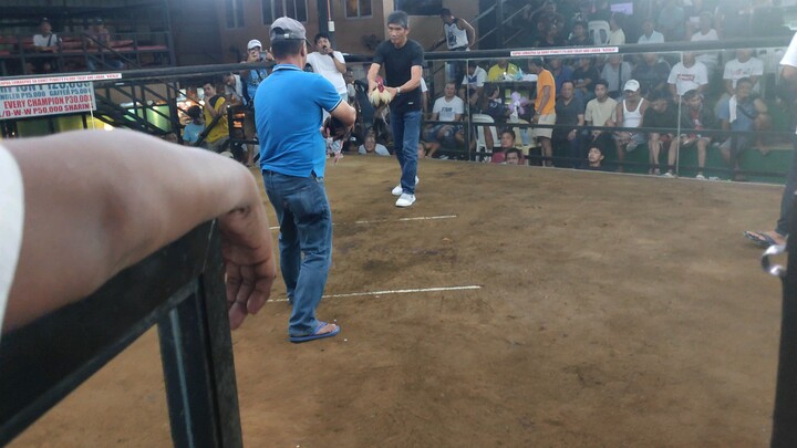 1x winner goolden boy